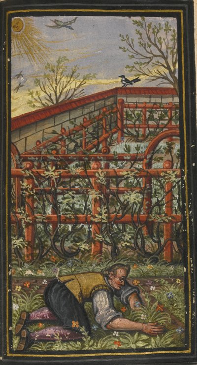 Illustration für Die wunderbare Sommerzeit des ewigen Lebens von Jacob Zader, 1603 von Unbekannt