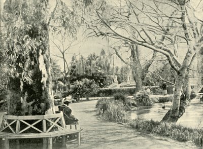 Im Botanischen Garten, Adelaide, 1901 von Unbekannt