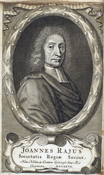John Ray (Wray), englischer Naturforscher, ca. 1700 von Unbekannt