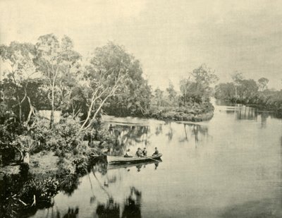 Zusammenfluss der Glengarry- und Thompson-Flüsse, Victoria, 1901 von Unbekannt