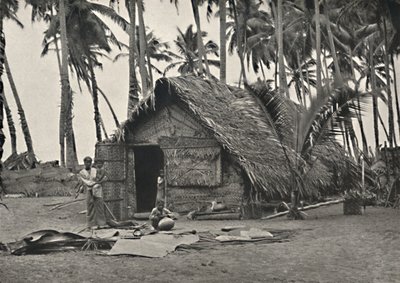 Kokospalmen und Eingeborenenhütte aus Kokosblättern an den Stämmen links, angebundene Blätter von Unbekannt