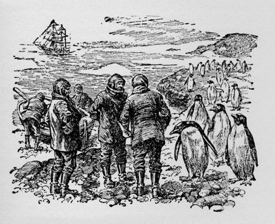 Landung auf einer kleinen Insel, bewohnt von Myriaden von Pinguinen, um 1918 von Unbekannt