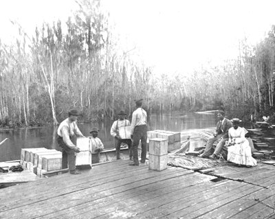 Orangenverladung am Ocklawaha River, Florida, USA, ca. 1900 von Unbekannt