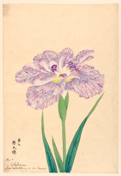 Liebe, die über ihren Gefährten meditiert (Sofuren), Nr. 7, ca. 1910 von Unbekannt