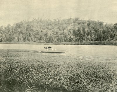 Am Enoggera-See, 1901 von Unbekannt