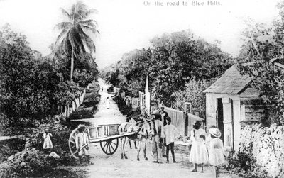 Auf dem Weg zu den Blue Hills, Bahamas, ca. 1900er von Unbekannt