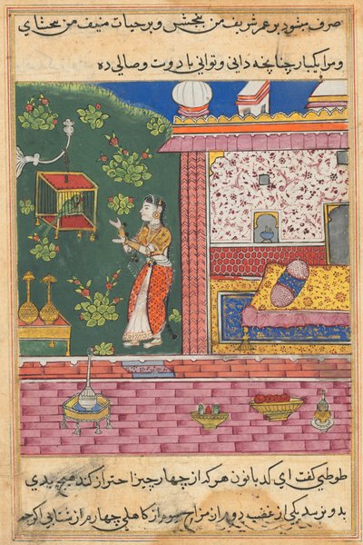 Seite aus Geschichten eines Papageis Tuti-nama: Dreißigste Nacht: Der Papagei spricht zu Khujasta..., ca. 1560 von Unbekannt