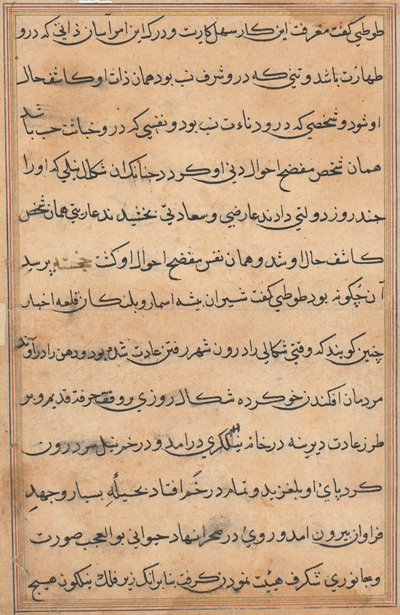 Seite aus Geschichten eines Papageis Tuti-nama: Textseite, ca. 1560 von Unbekannt