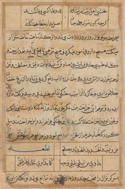 Seite aus Geschichten eines Papageis Tuti-nama: Textseite, ca. 1560 von Unbekannt