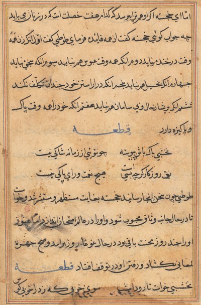 Seite aus Geschichten eines Papageis Tuti-nama: Textseite, ca. 1560 von Unbekannt
