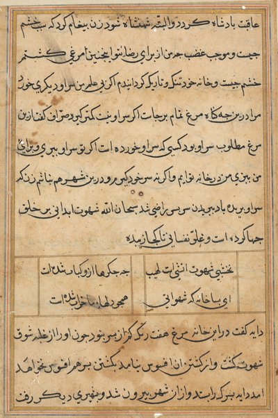 Seite aus Geschichten eines Papageis Tuti-nama: Textseite, ca. 1560 von Unbekannt