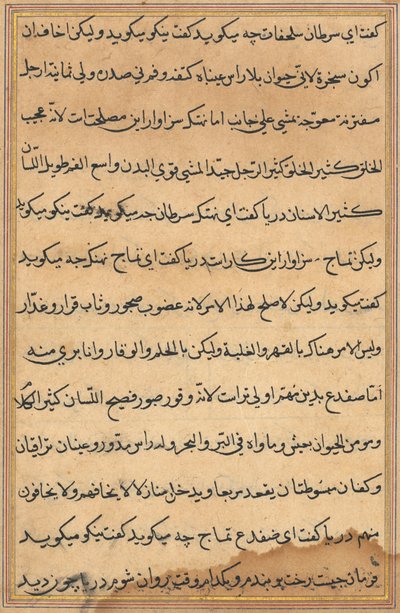 Seite aus den Geschichten eines Papageis Tuti-nama: Textseite, ca. 1560 von Unbekannt
