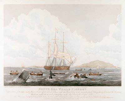 Südsee-Walfang, 1825 von Unbekannt