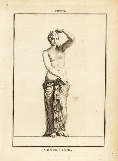 Statue der Venus Celeste, römische Göttin der Liebe, Schönheit, Sexualität und Fruchtbarkeit von Unbekannt