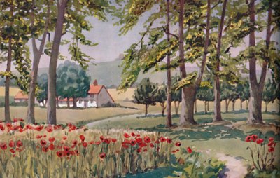 Sommer - Die physischen, chemischen und biologischen Veränderungen durch die Sonne im Laufe des Jahres, 1935 von Unbekannt