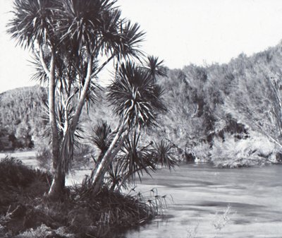 Te Waihou Fluss, Okoroire von Unbekannt