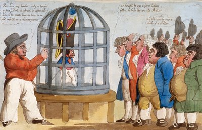 Der korsische Bajazet in London von Unbekannt