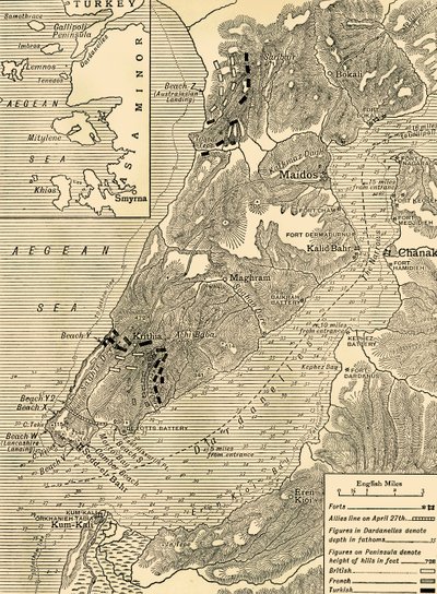 Die Gallipoli-Kampagne, Erster Weltkrieg, 1915 von Unbekannt