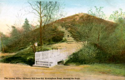 Die Lickey Hills, 20. Jahrhundert von Unbekannt