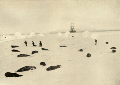 Die Nimrod am Pram Point am 4. März 1909 von Unbekannt