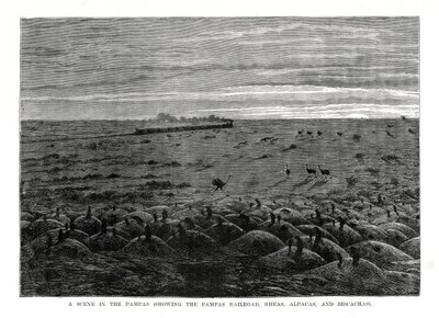 Die Pampas-Eisenbahn, südamerikanische Tiefebenen, 1877 von Unbekannt