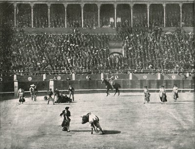 Das Innere der Stierkampfarena, Madrid, Spanien, 1895 von Unbekannt