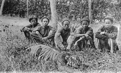 Tigerjäger, Tonkin, Vietnam, 20. Jahrhundert von Unbekannt