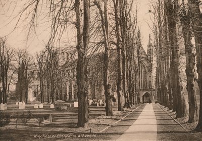 Winchester Cathedral und Avenue, Hampshire, frühes 20. Jahrhundert von Unbekannt