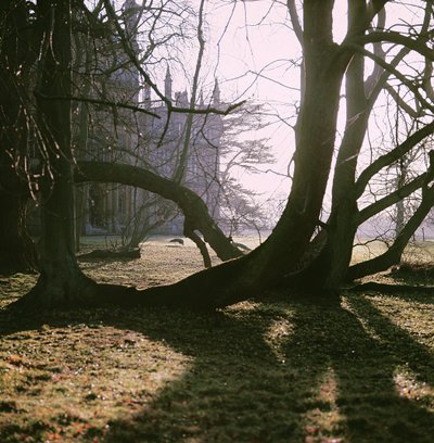 Ansicht der Nordfront, Corsham Court, Wiltshire von Unbekannt Unbekannt
