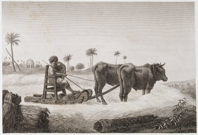 Ackerbau, Erntemaschine, Ägypten, ca. 1798 von Unbekannt