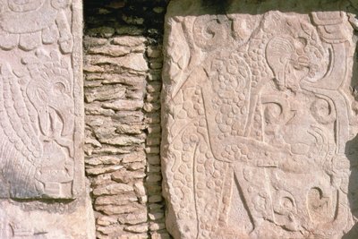 Basrelief, das Jaguare zeigt, die menschliche Herzen aus Opfern herausziehen (Stein) von William M. Timlin