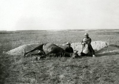 Erster Weltkrieg 14-18 (1914-1918): drei französische Soldaten begraben ein totes Pferd - Fotografie auf Glasplatte von Unbekannter Künstler