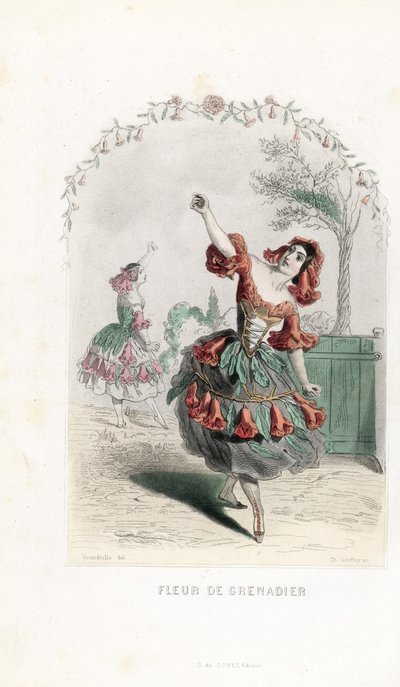 Die Granatapfelblütenfee tanzt - Radierung von Charles Geoffroy nach einer Illustration von Jean Ignace Isidore Gerard dit J.J.Granville für Les fleurs animées von Unbekannter Künstler
