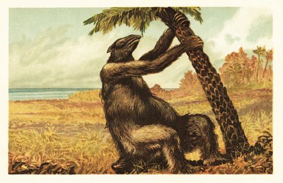 Megatherium americanum zieht an einer Palme von Unbekannter Künstler
