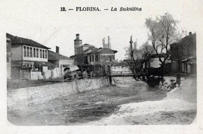 Serbien, Florina (heutiges Griechenland): Blick auf die Sukulina - Postkarte 1914-1918 von William M. Timlin