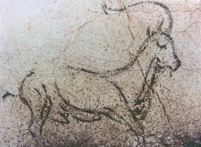Spanische Ziege, Paläolithikum, ca. 40000-12000 v. Chr. von Unbekannter Künstler