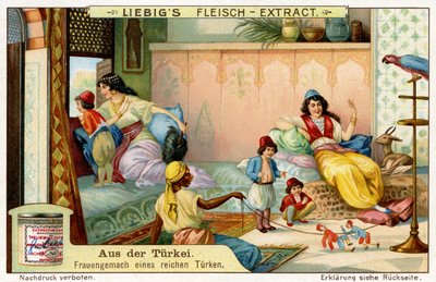 Türkei: Laube der Frau eines reichen Mannes von Unbekannter Künstler