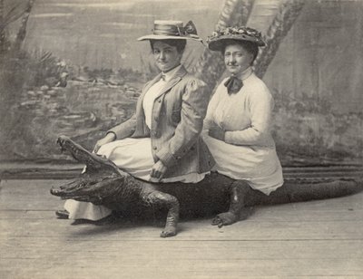 Frauen sitzen auf einem ausgestopften Alligator, ca. 1905 (s/w Foto) von Unbekannter Künstler