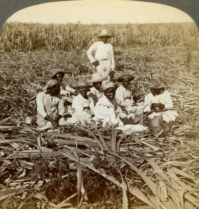 Auf der Zuckerplantage La Union, San Luis, Provinz Santiago, Kuba, 1899 von Underwood and Underwood