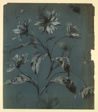 Entwurf für Tapete oder Textil mit Gänseblümchen-Muster von Unknown