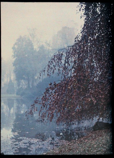 Herbstlandschaft, See und roter Baum im Nebel - ca. 1920 (Herbstlandschaft, See und roter Baum im Nebel) Autochrome anonyme Privatsammlung von Unknown Artist
