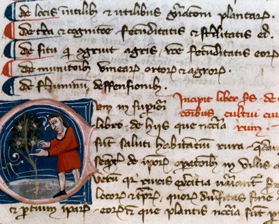 Gartenbau: Obsternte. Detail. Manuskriptseite (MS.s.vi) Agrartraktat (Trattato di agraria) von Pietro de Crescenzi (1233-1320) 14. Jahrhundert Cesena, Biblioteca Malatestiana von Unknown artist