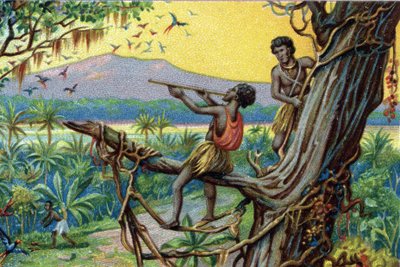 Jagdmethode. Jagd auf Kolibris im polynesischen Archipel: Die Bewohner verwenden Köder. Chromolithographie des 19. Jahrhunderts. von Unknown artist