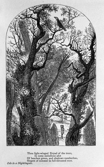 Illustration für „Ode an eine Nachtigall“ von dem Dichter John Keats (1795-1821) 19. Jahrhundert von Unknown artist