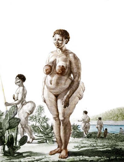 Die Venus Hottentote, Frau der Rasse Bochiman (Die Hottentot Venus), Gravur von 1815. von Unknown artist