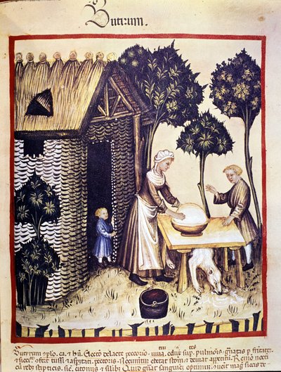 Butterherstellung. Illumination aus der Milch der Medizin und Diätetik „Tacuinum sanitatis“ von Unknown artist