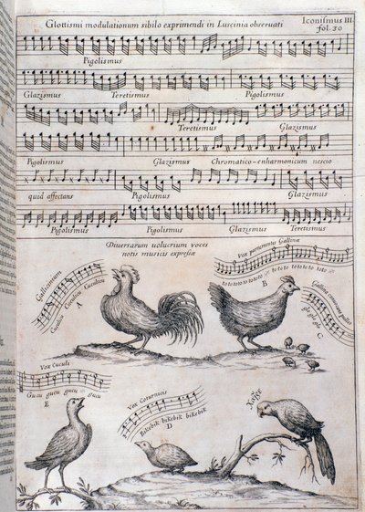Seite aus Musurgia (1650) von Unknown artist