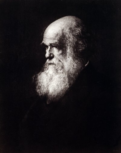 Porträt von Charles Robert Darwin (1809 - 1882) von Unknown artist