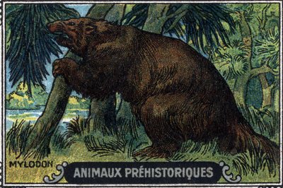 Prähistorisches Tier: ein Mylodon. von Unknown Artist