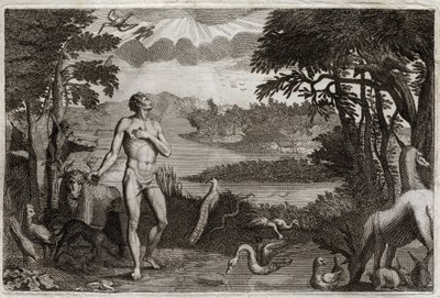 Royaumont-Bibel, Altes Testament: Schöpfung von Mann und Frau. Gott, der den Menschen erschaffen hat, setzt ihn ins irdische Paradies und verbietet ihm, von der Frucht des Baumes der Erkenntnis von Gut und Böse zu essen. Illustration von 1811 von Unknown artist